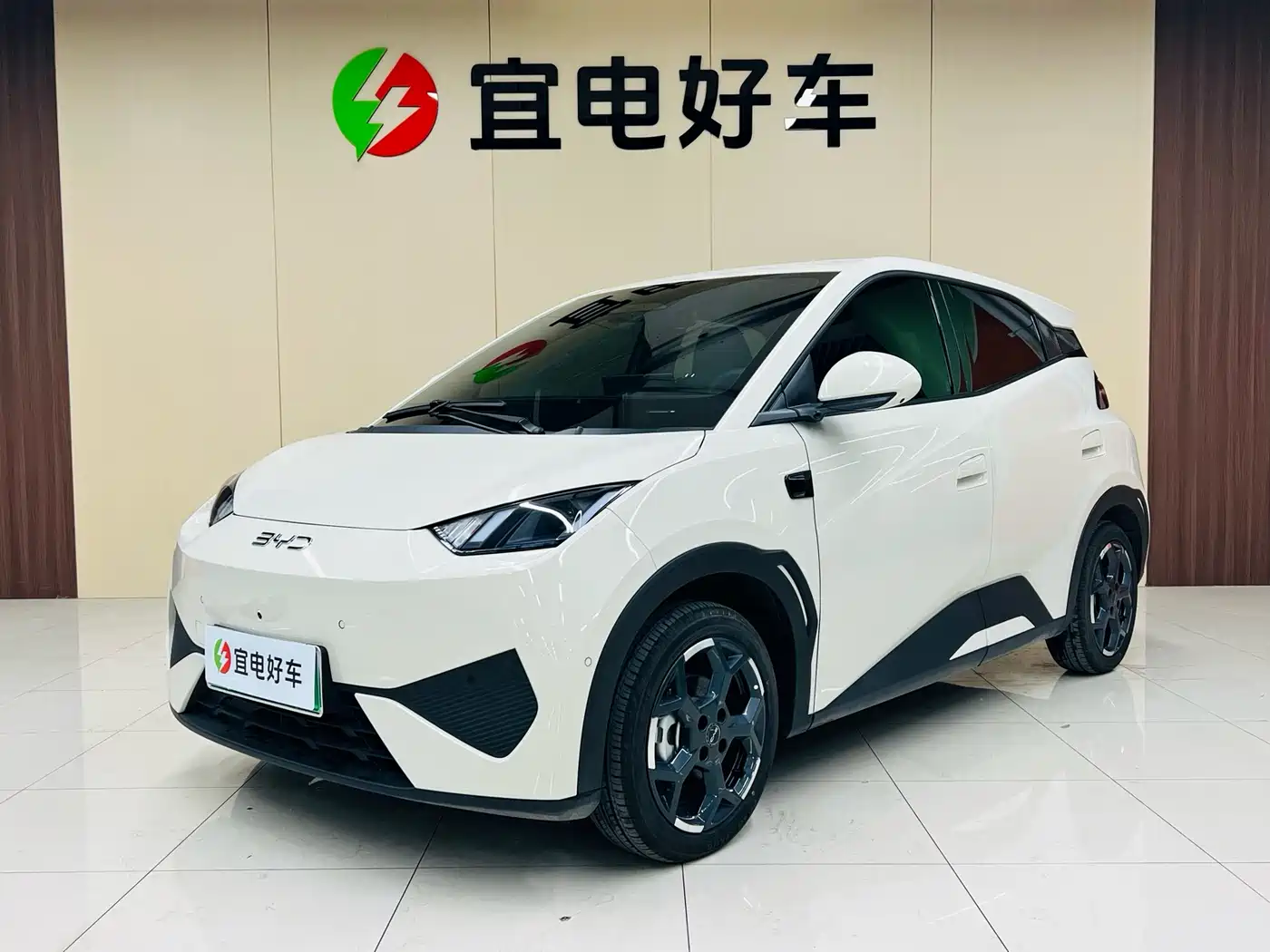 BYD Seagull 2025 Smart Drive Edition 305km Freedom Version