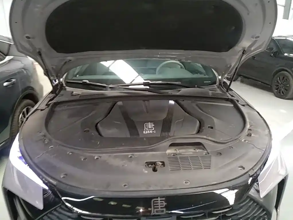 BYD Tang New Energy 2025 2025 DM-i 115KM Prestige Type