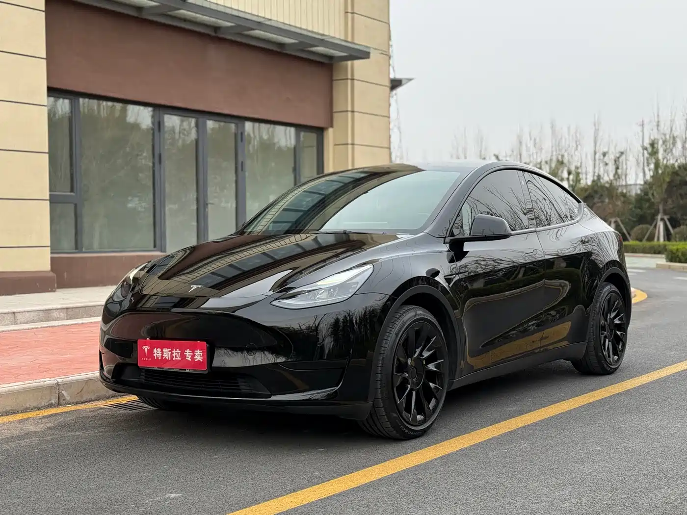 TESLA MODEL Y