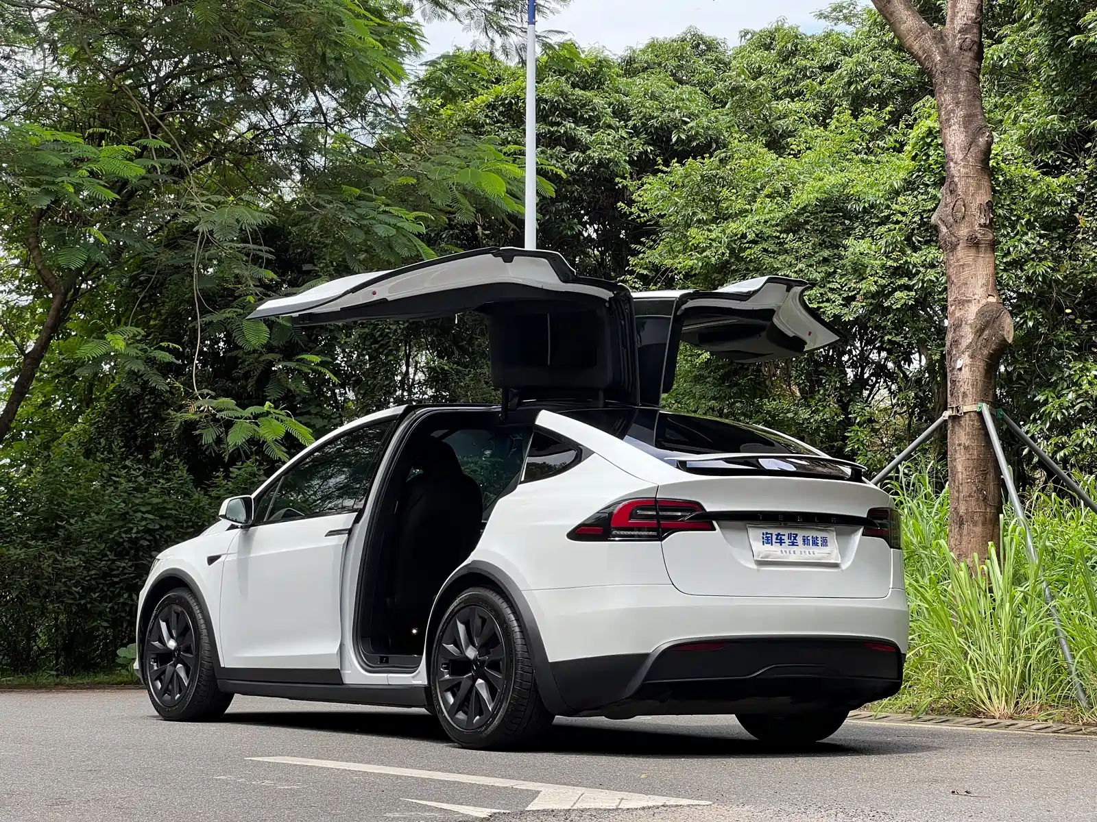 Фото 3 - Tesla Model X