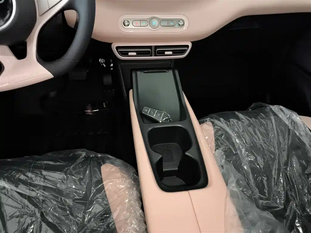 BYD Seagull 2025 Smart Drive Edition 305km Vitality Version фото 14