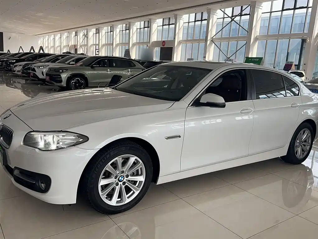 BMW 5 Series 2014 520Li Elegance фото 4