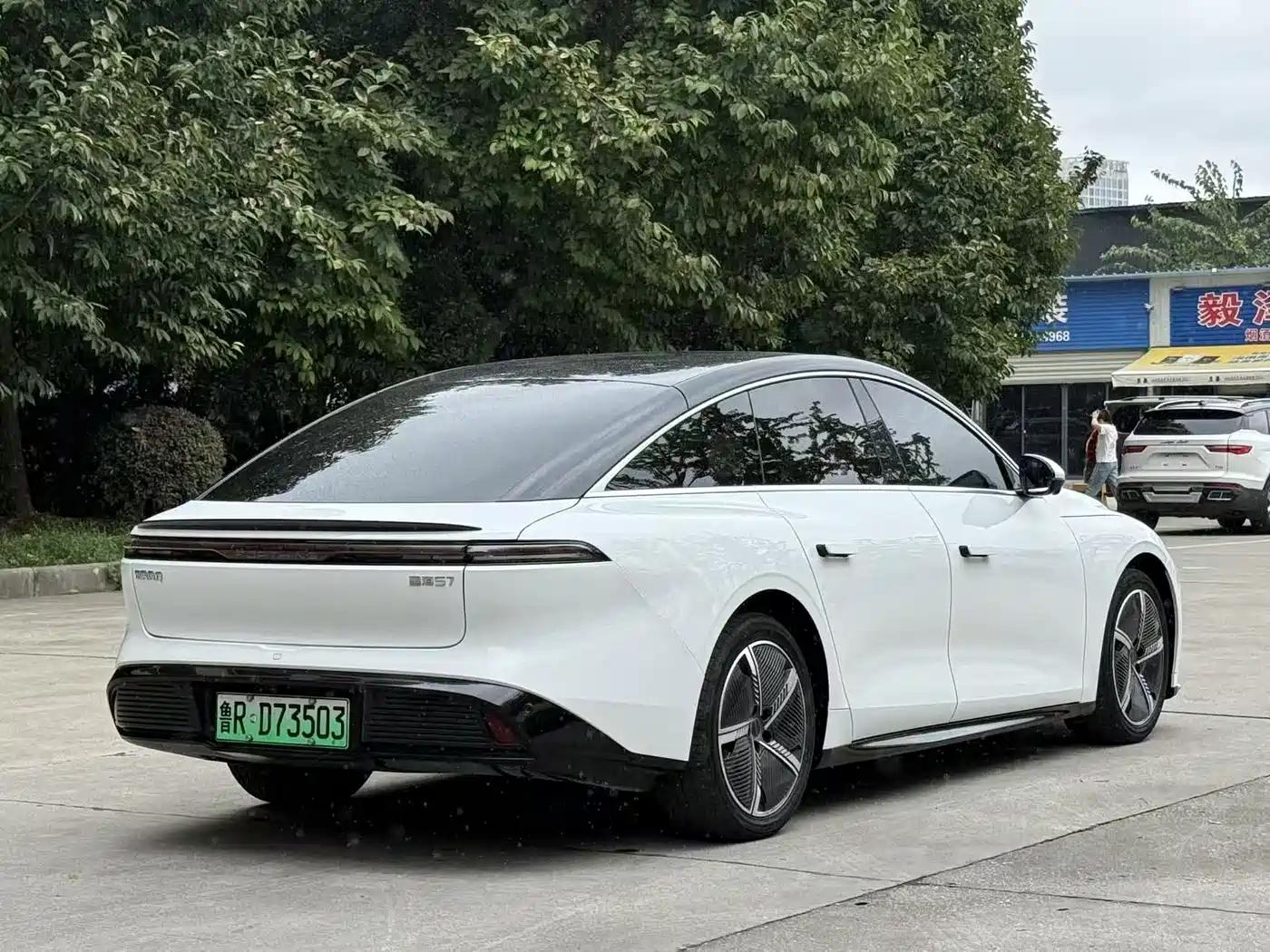 Dongfeng Fengxing Stellar S7 2024 2024 555 Luxury Edition