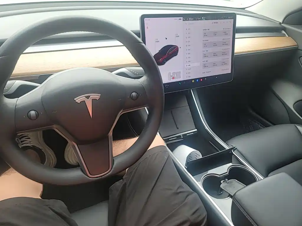 Tesla Model 3 2020 2020 Standard Range Rear-Wheel Drive Upgrade
