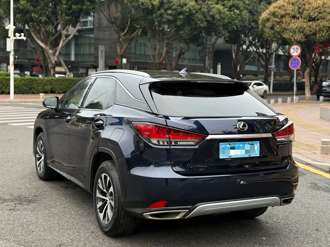 LEXUS RX