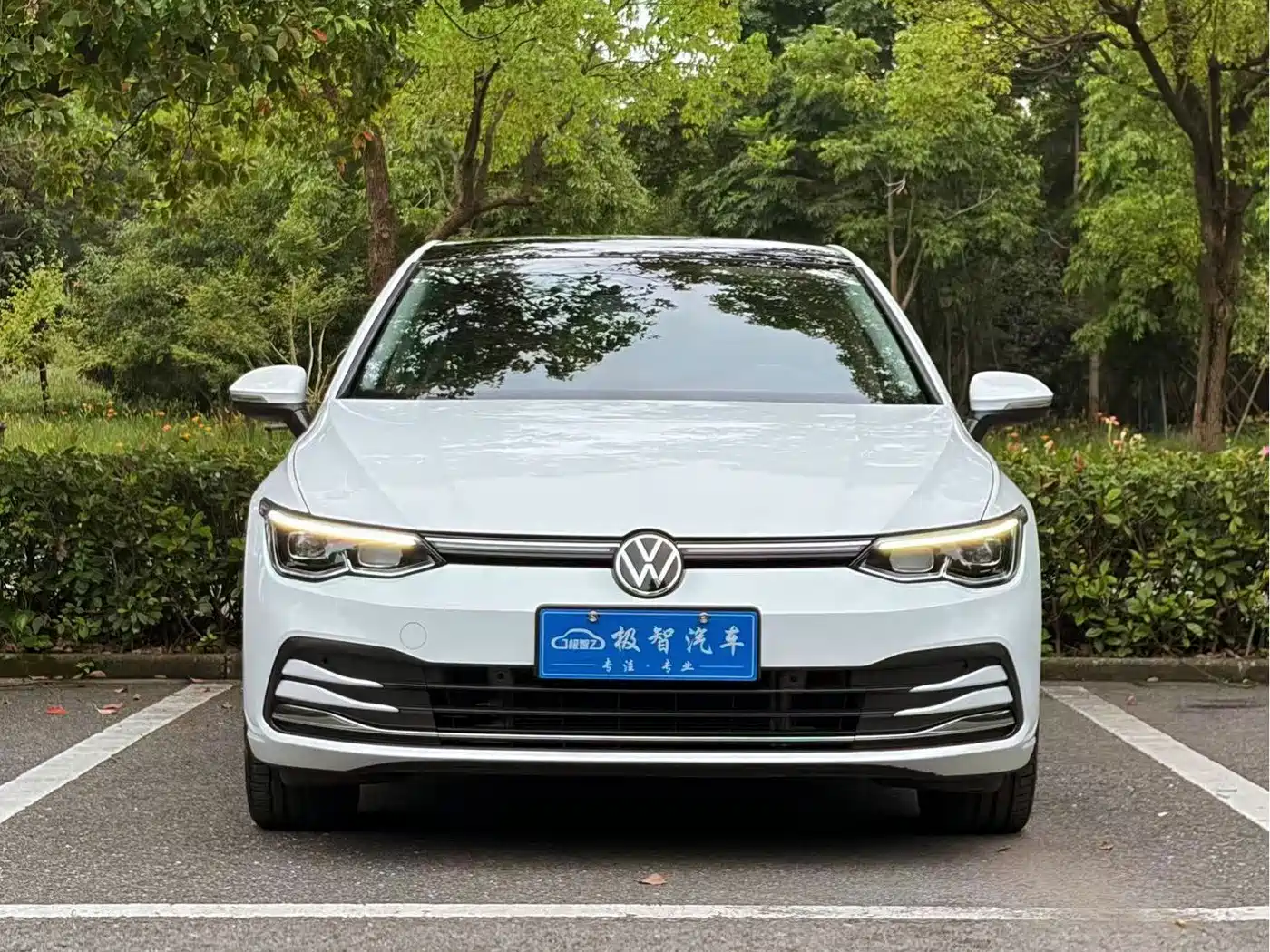 Volkswagen Golf 2025 2024 280TSI DSG Pro 50th Anniversary Edition
