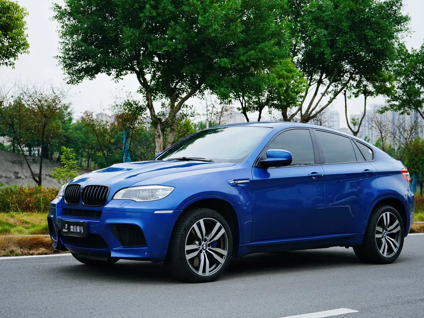 BMW X6 M 2010 X6 M фото 3