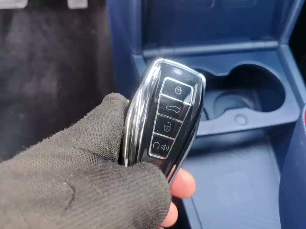 Geely Geometry E Firefly 2022 2022 401KM Delicate Tiger 4-seater