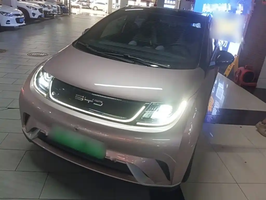 BYD Dolphin 2021 Model 405km Fashion Edition