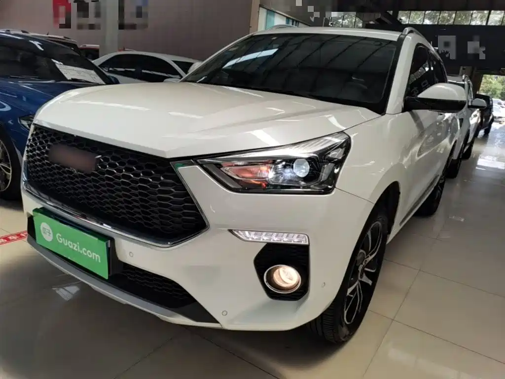 Haval H6 Coupe 2018 Red Label 1.5T Auto 2WD Ultra Luxury фото 2