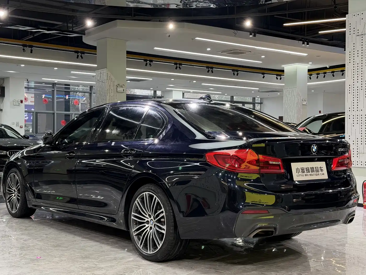 BMW 5 Series 2019 530Li Leading M Sport Package фото 16