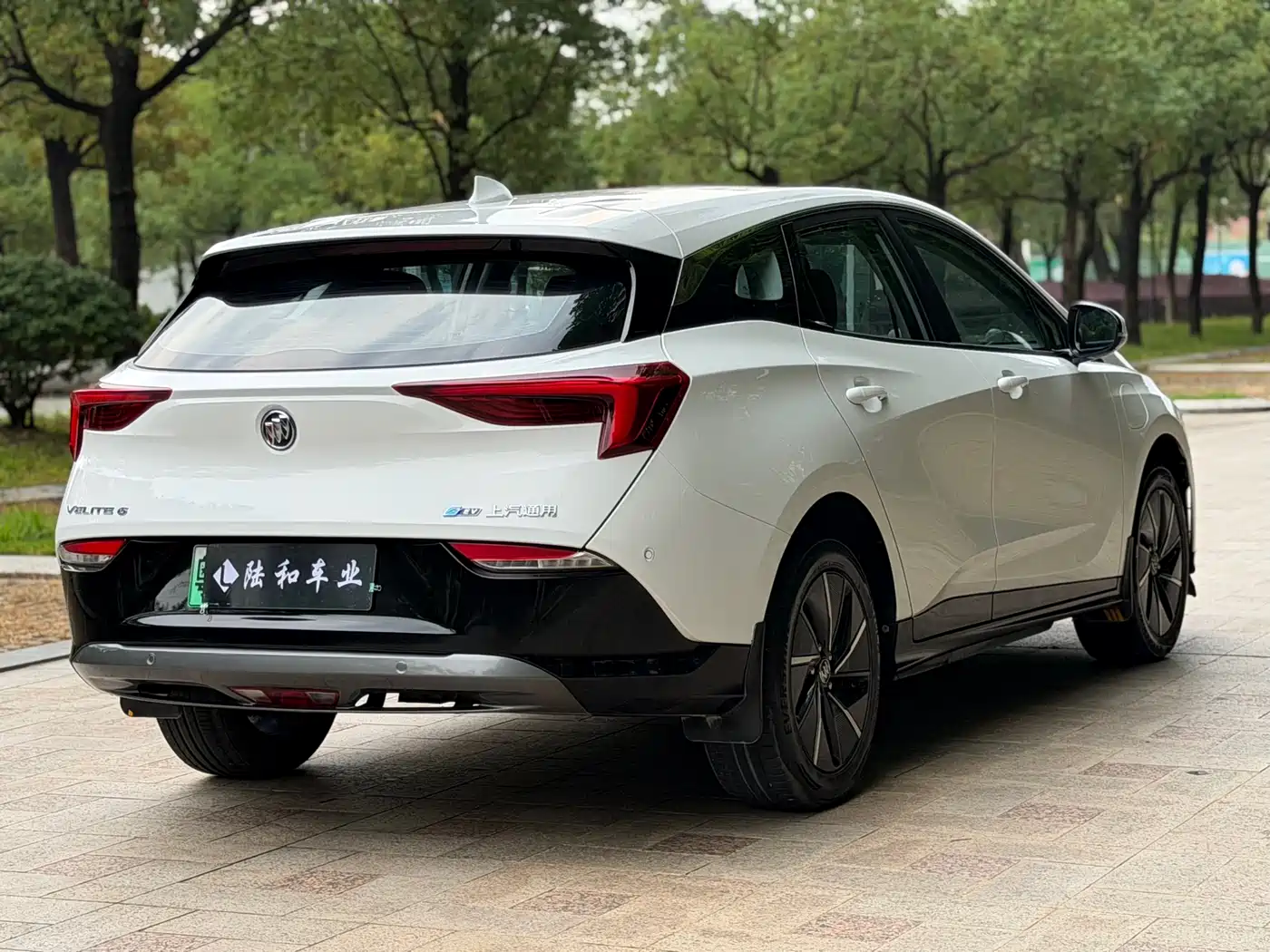 Buick Velite 6 2023 430km Travel Edition фото 20