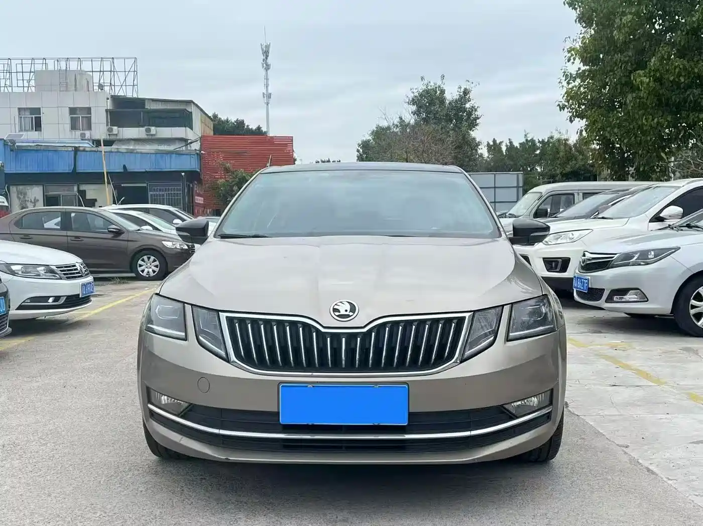 Škoda Octavia 2019 TSI280 DSG Smart Drive Luxury Edition China VI фото 2