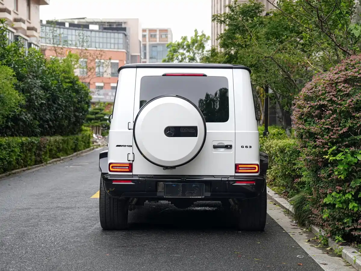 Фото 9 - Mercedes-Benz G-Class