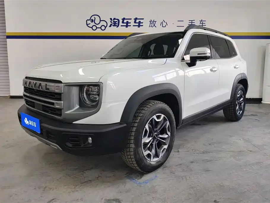 Haval Big Dog 2024 2.0T DCT Chinese Rural Dog Edition