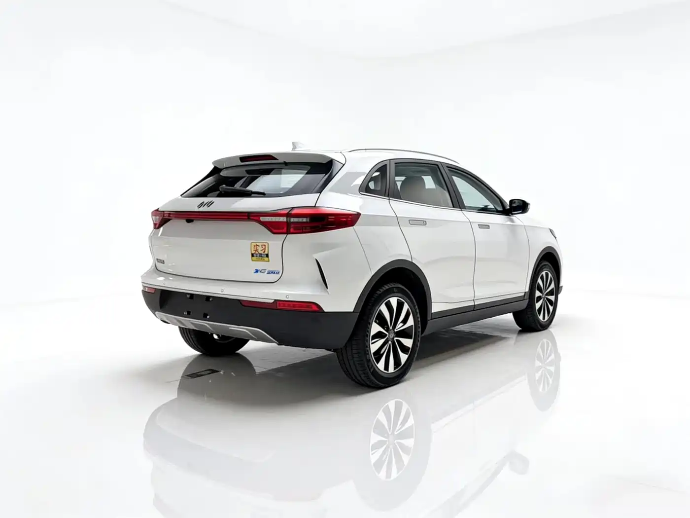 Weltmeister WEIMA EX5