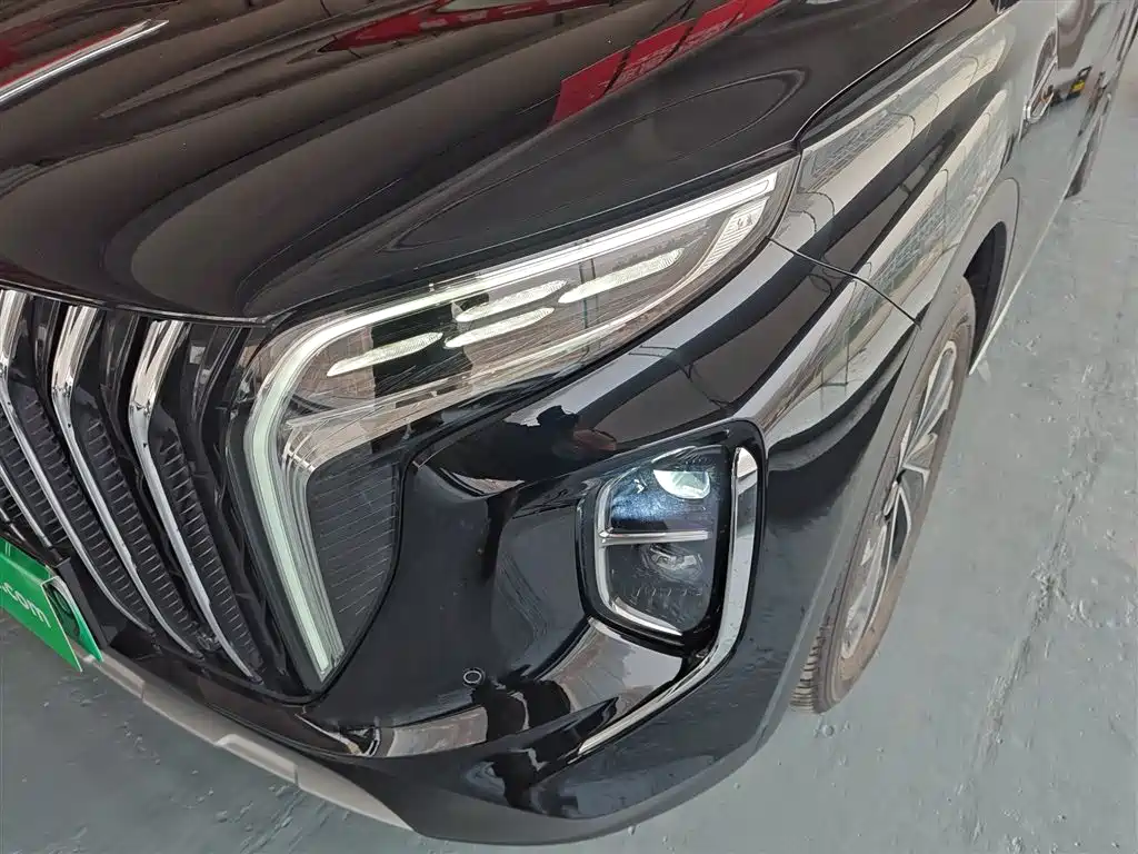 Hongqi HS7 PHEV 2024 2.0T PHEV AWD Qichang Edition 7-seater фото 18