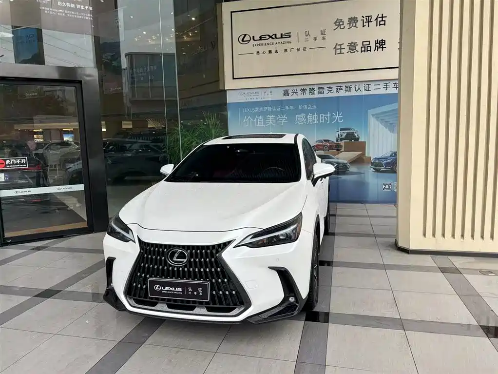 Lexus NX New Energy 2022 2022 400h+ Joy Edition