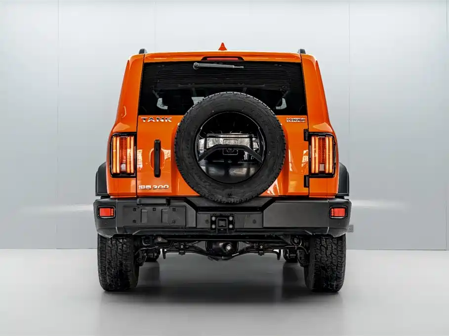 Tank 300 2023 Off-Road Edition 2.0T Conqueror фото 6