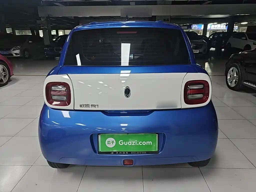 Ora Black Cat 2019 2019 Model 351km Smart Fun Edition
