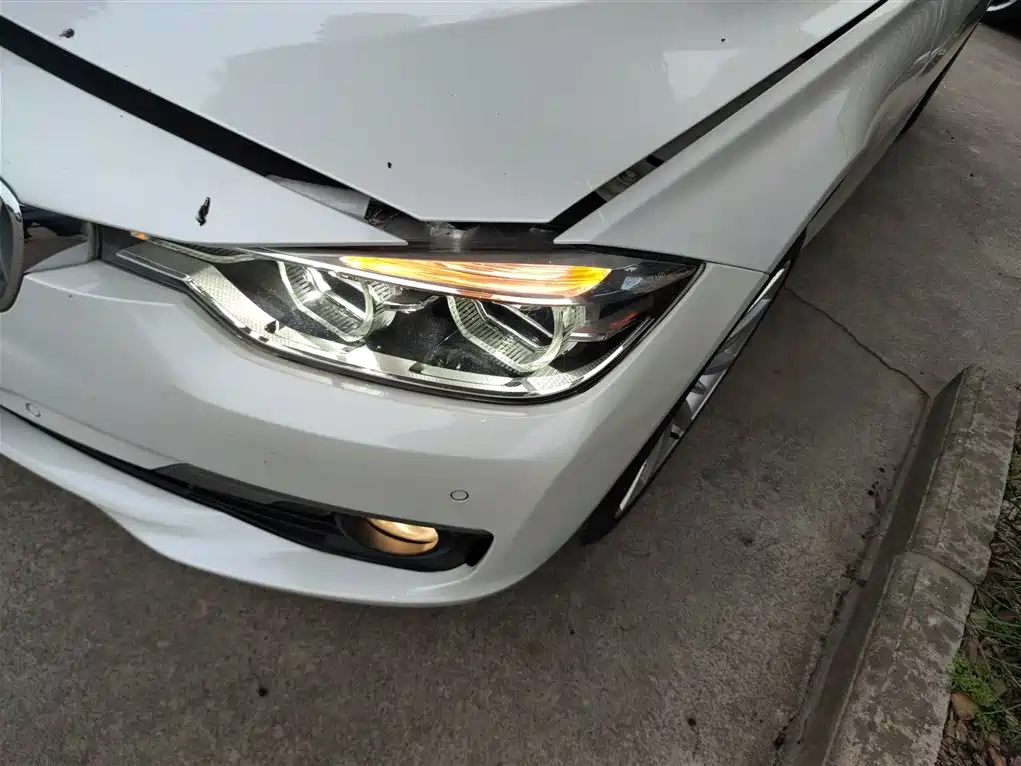 BMW 3 Series 2018 320Li Fashion Style фото 24