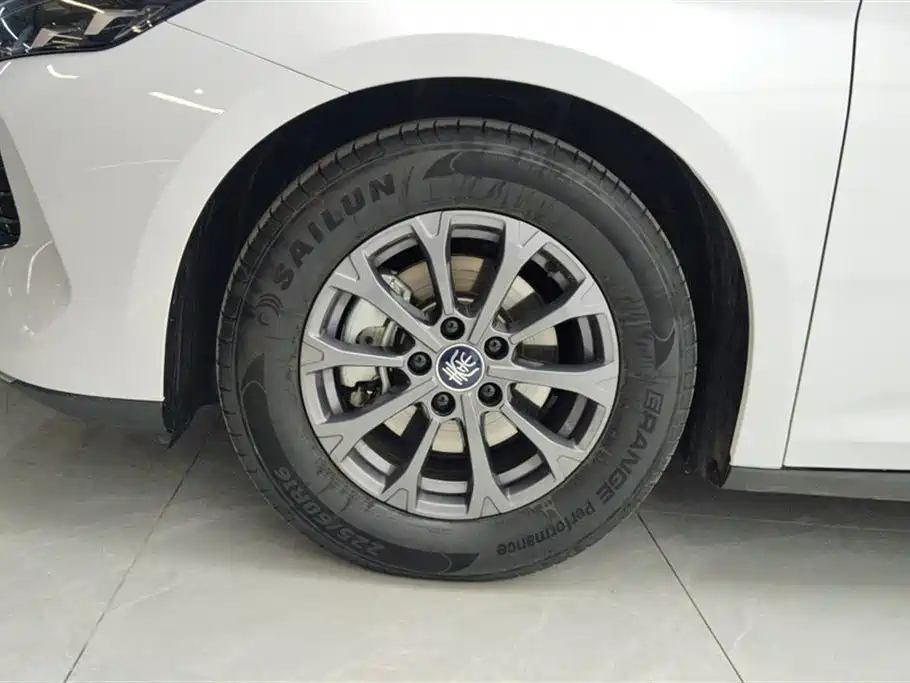 BYD Qin L 2024 DM-i 80KM Leading Edition фото 6