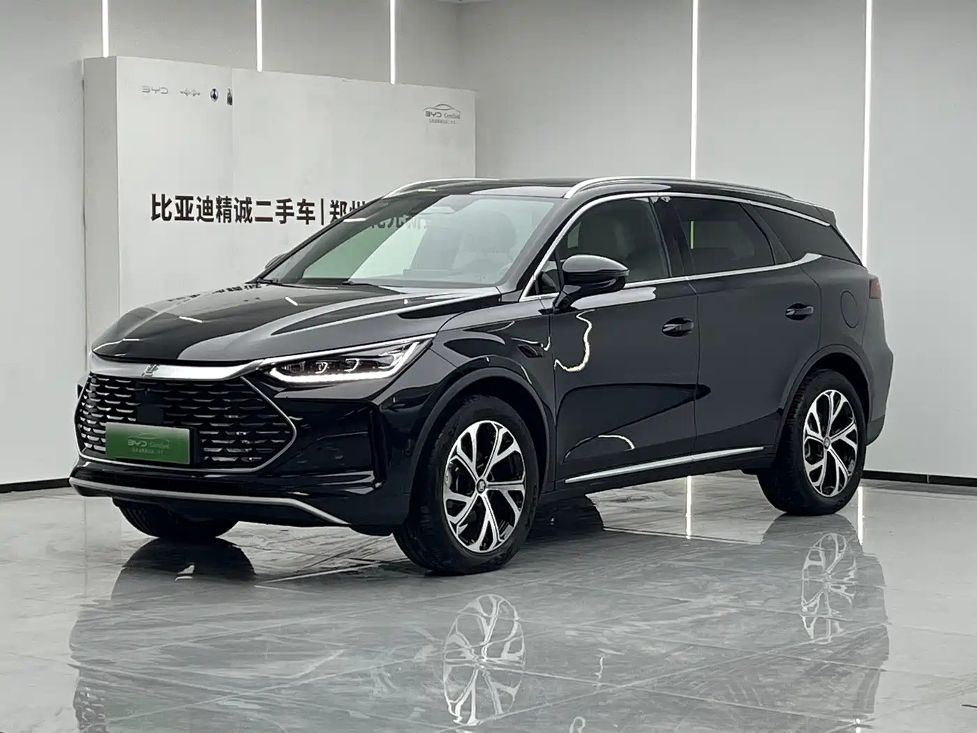 BYD Tang New Energy 2025 2025 Smart Driving Edition DM-i 115KM Flagship