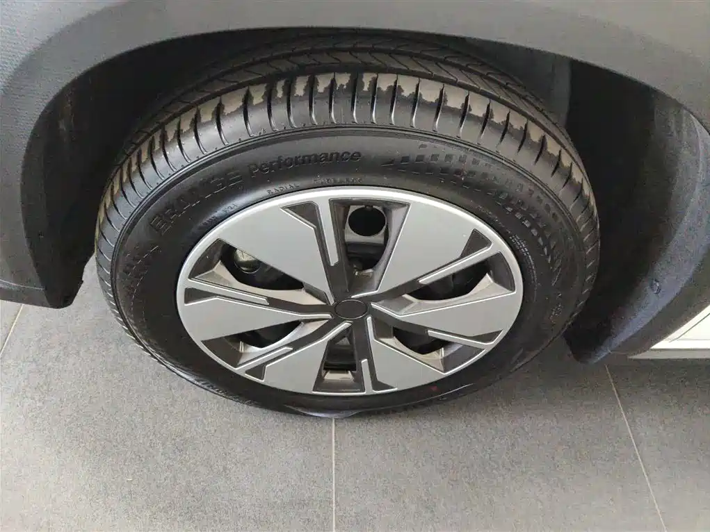 Ruilan Auto Ruilan 7 2026 2024 605km Fortune Edition