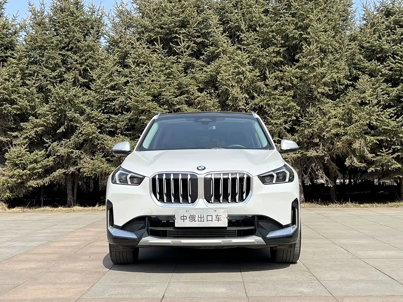 BMW X1 2023 sDrive20Li X Design Package фото 2