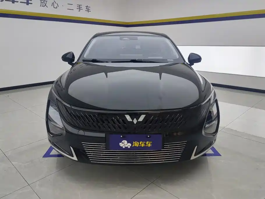 Wuling Motors Wuling Xingguang 2025 2024 Co-Creation Edition 150 Pilot