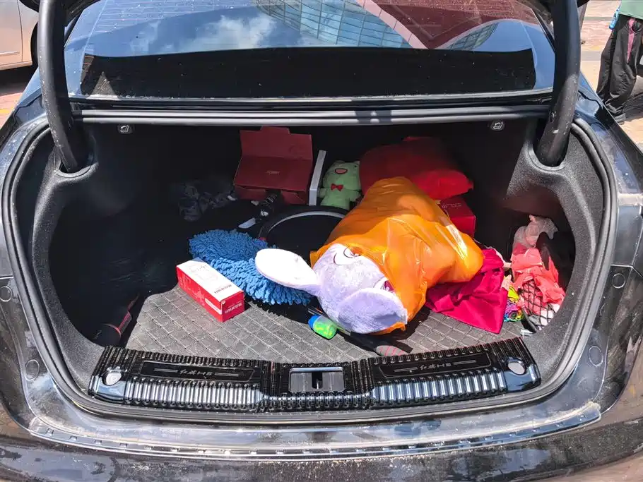 Hongqi H5 2024 2.0T Automatic Smart Connect Flag Smooth Edition фото 4