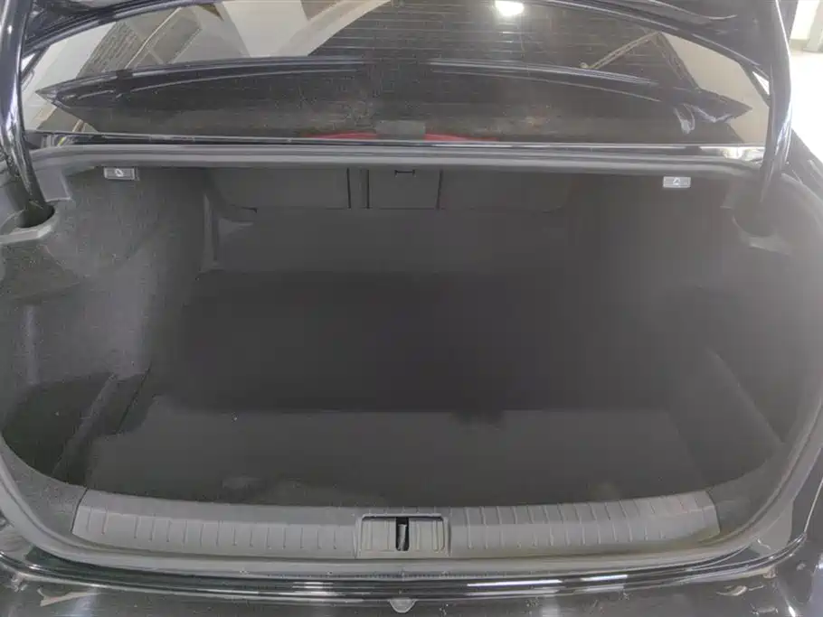 Volkswagen Magotan 2020 330TSI DSG Leading фото 4