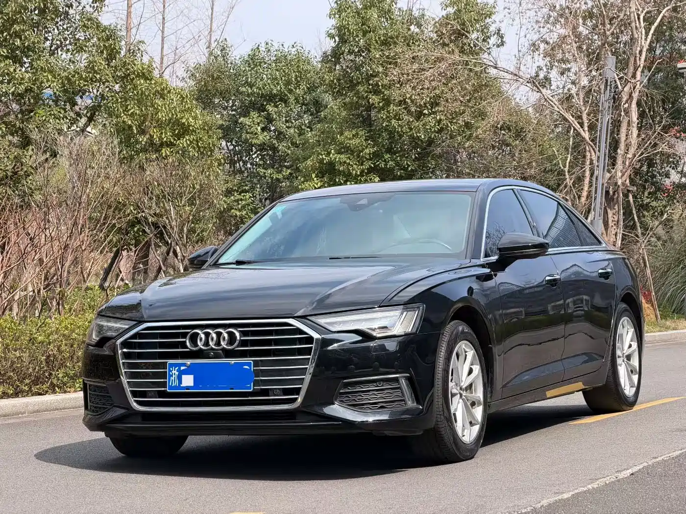 Audi A6L 2019 40 TFSI Luxury Elegance