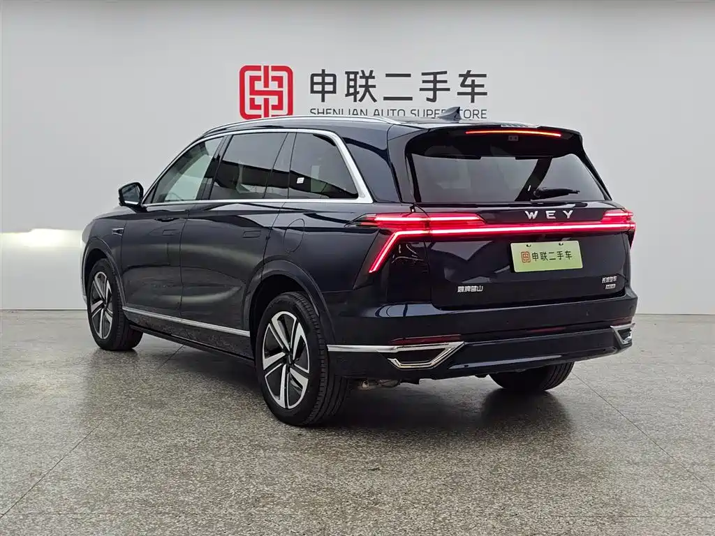 WEI PAI WEI BRAND BLUE MOUNTAIN