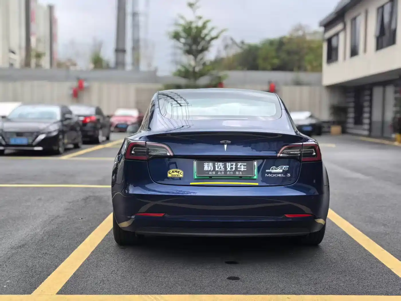 TESLA MODEL 3