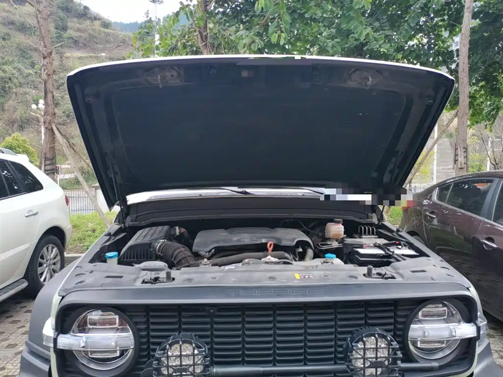 Tank 300 2021 Off-road Edition 2.0T Challenger фото 11