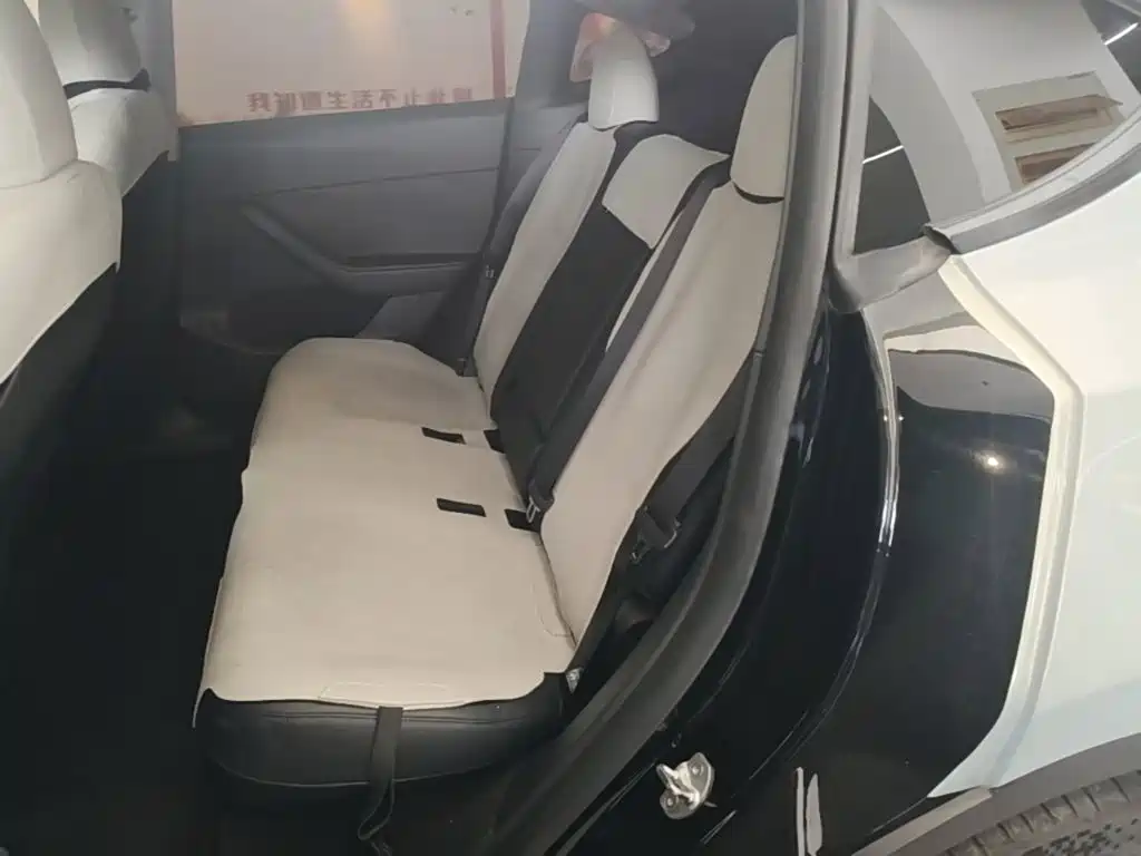Tesla Model Y 2021 2021 Standard Range Rear-Wheel Drive