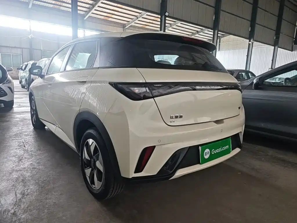 BYD Dolphin 2026 2025 420km Freedom Edition