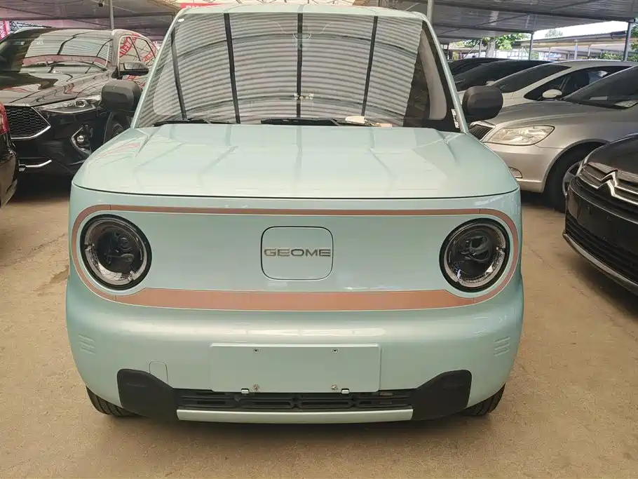Geely Galaxy Panda 2023 Panda Mini 200km Endurance Bear фото 2