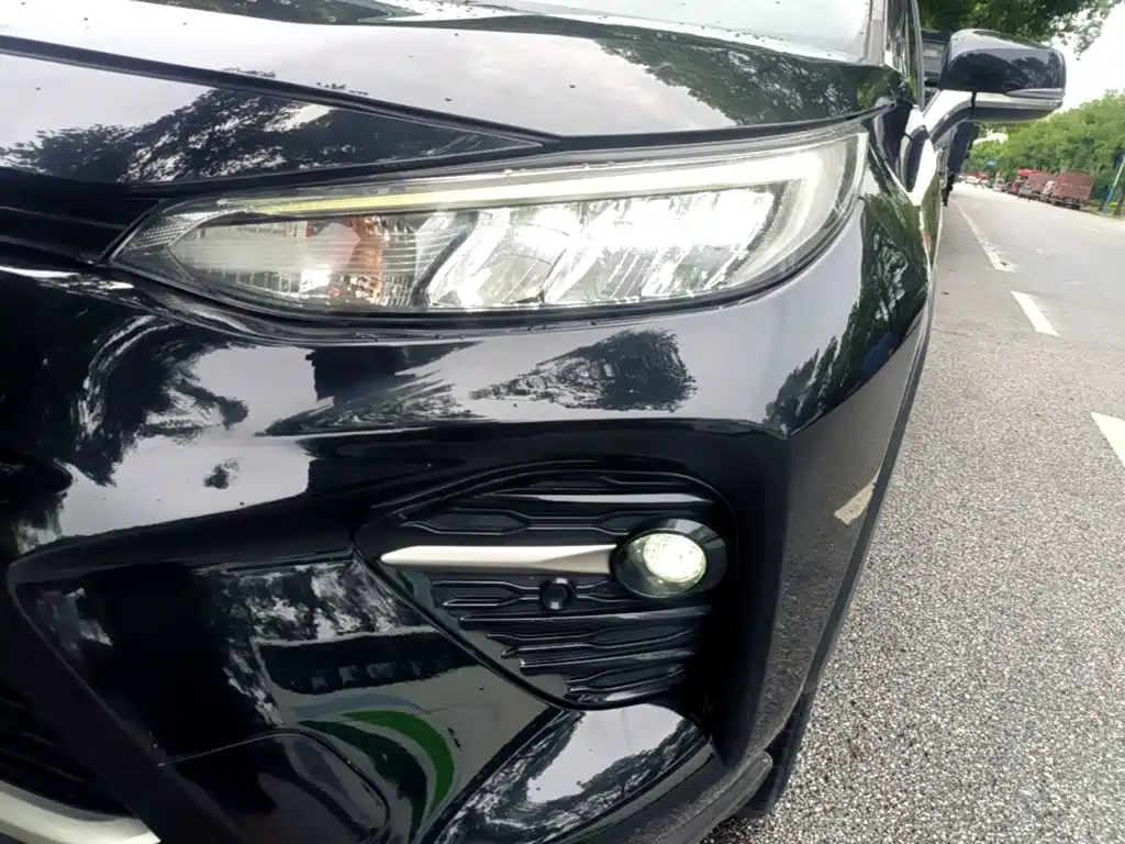 Toyota Wildlander 2021 2020 2.0L CVT AWD Luxury Edition