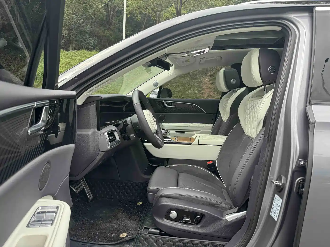Hongqi E-HS9 2022 2021 460km Flagship Comfort 6-seater