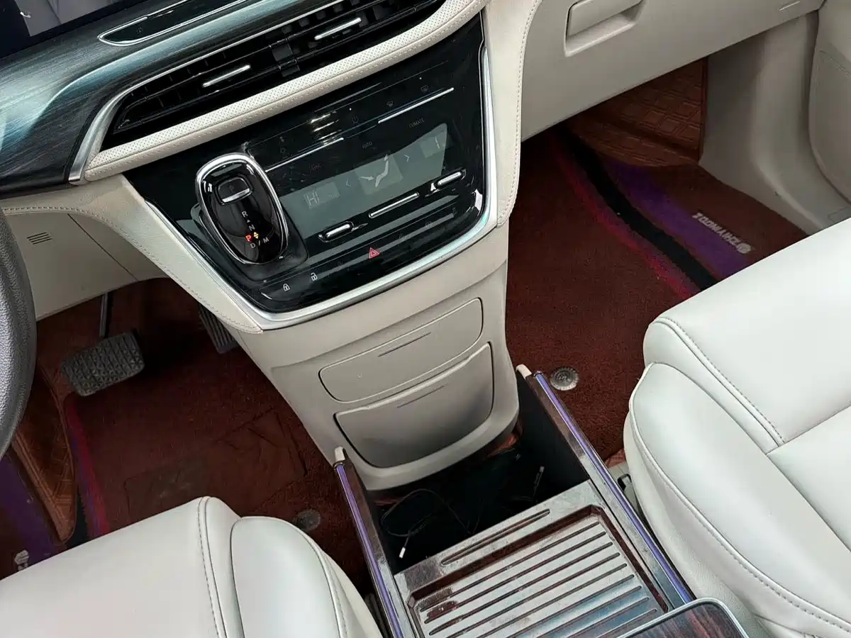 Buick GL8 2021 ES Landlord 653T Comfort фото 8