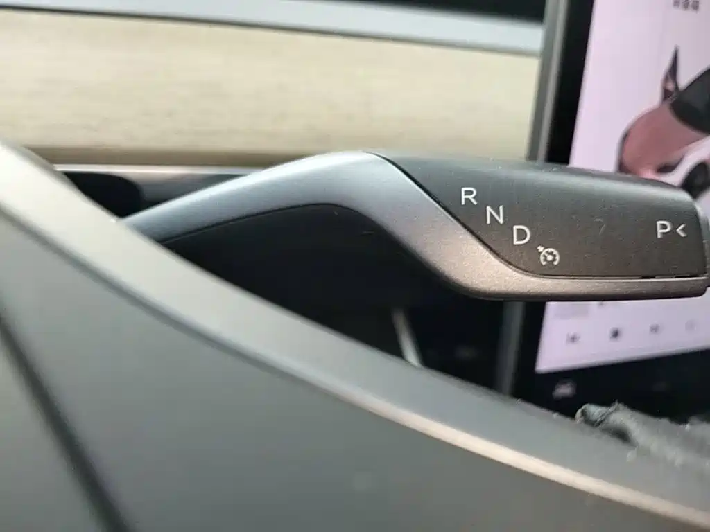 Tesla Model 3 2020 2020 Standard Range Rear-Wheel Drive Upgrade