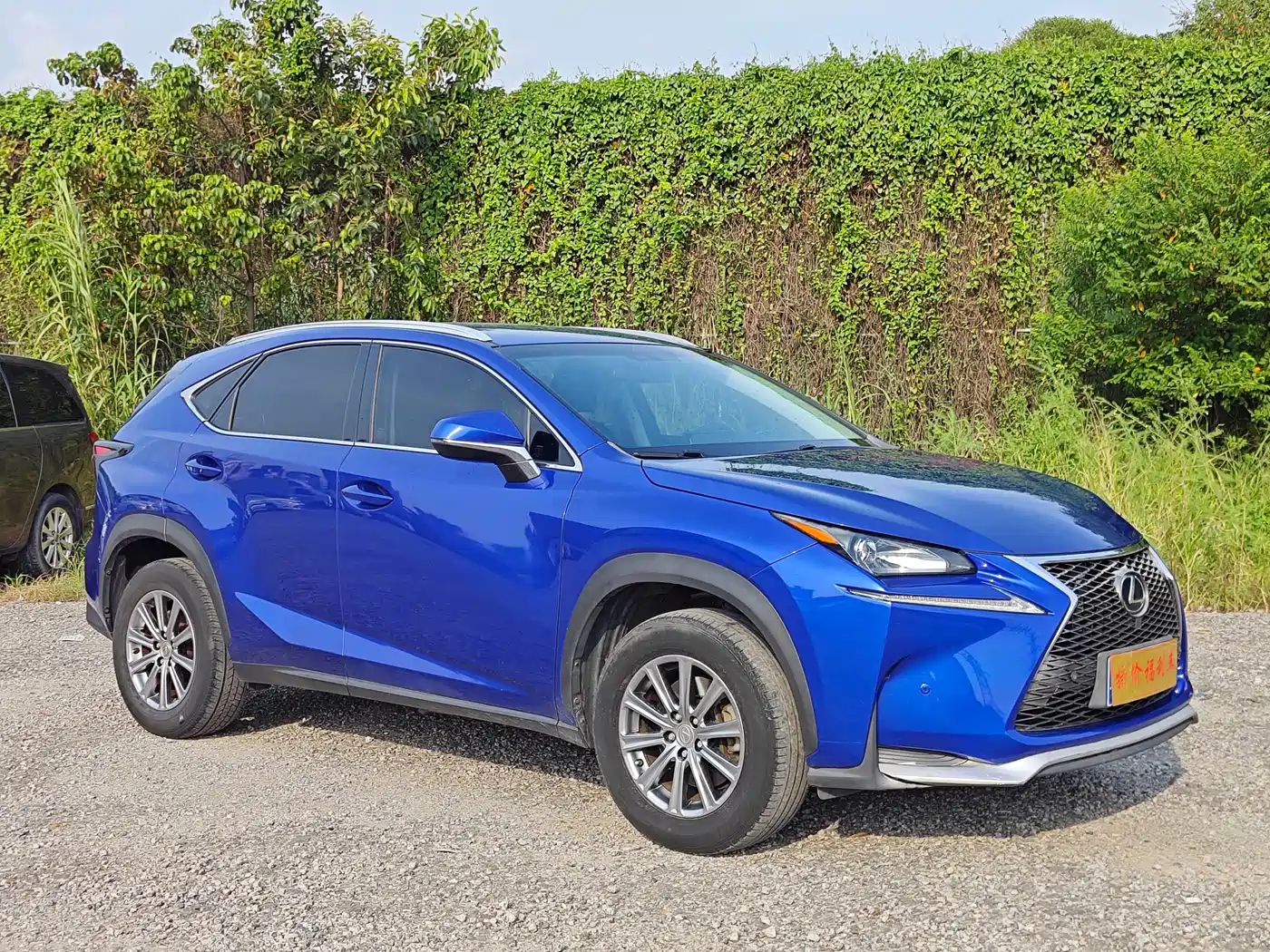 Lexus NX 2015 2015 200 FWD Premium