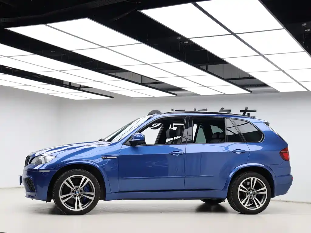 Фото 29 - BMW X5 M