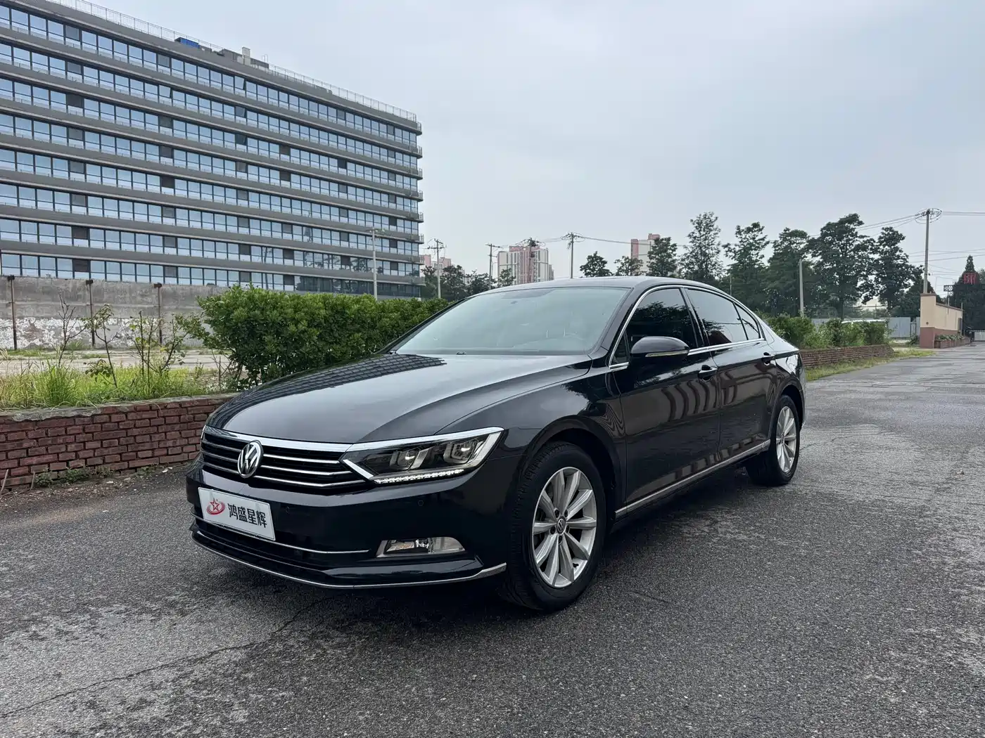 Volkswagen Magotan 2019 330TSI DSG Leading China VI