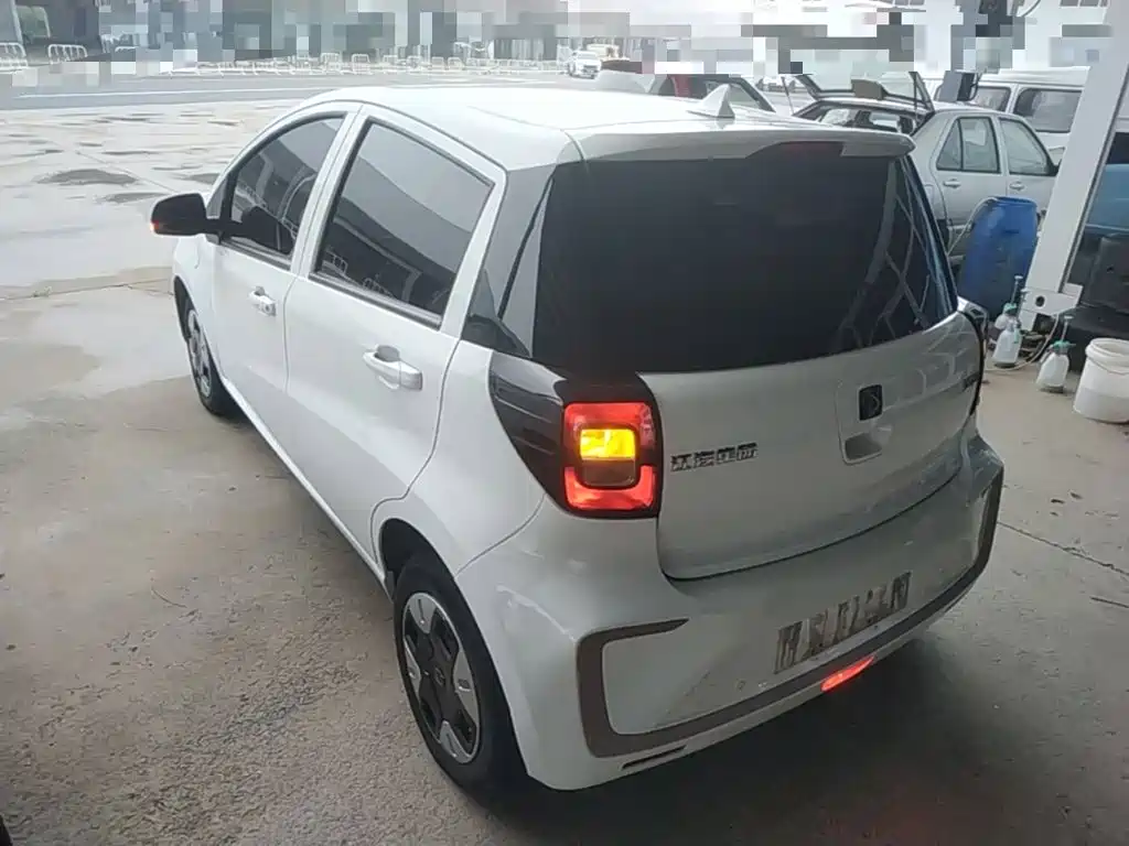 Sehol Flower Fairy 2023 2023 251km Four-leaf Clover 36kW