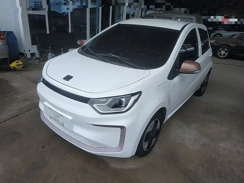 Sehol Flower Fairy 2023 2023 251km Four-leaf Clover 36kW