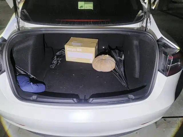 Tesla Model 3 2020 Standard Range Rear-Wheel Drive Upgrade — фото 5