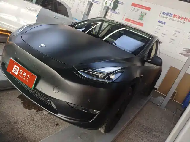 Tesla Model Y Увеличенный запас хода, полный привод